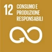 Traduzioni per il settore energetico SDG12